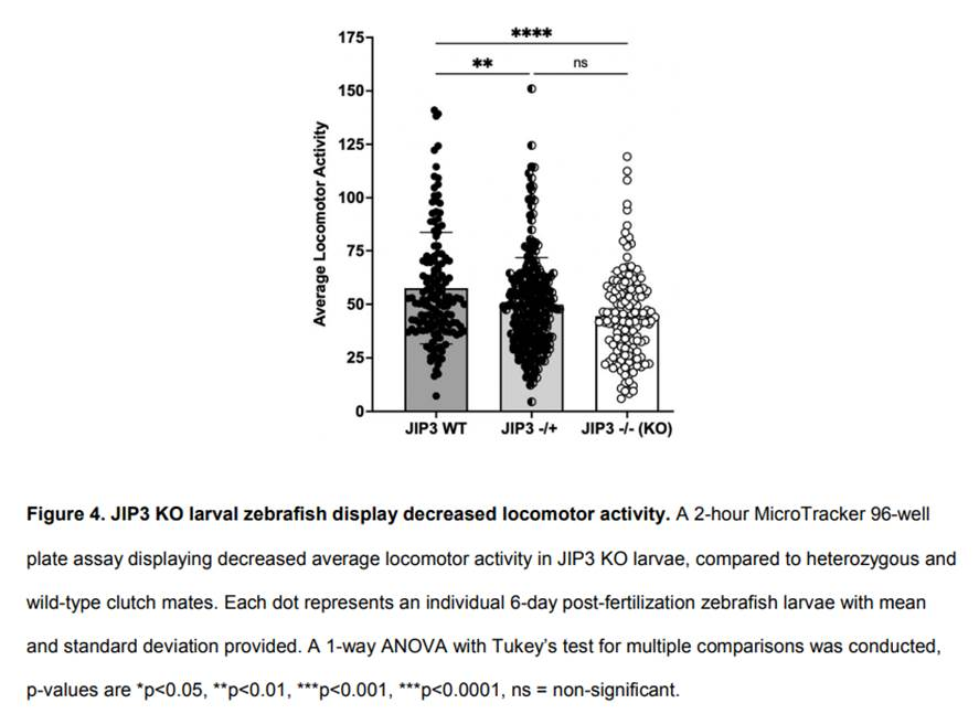 PhylumTech WMicrotracker ONE 助力突破性研究 帕金森药物为罕见神经发育障碍带来新希望