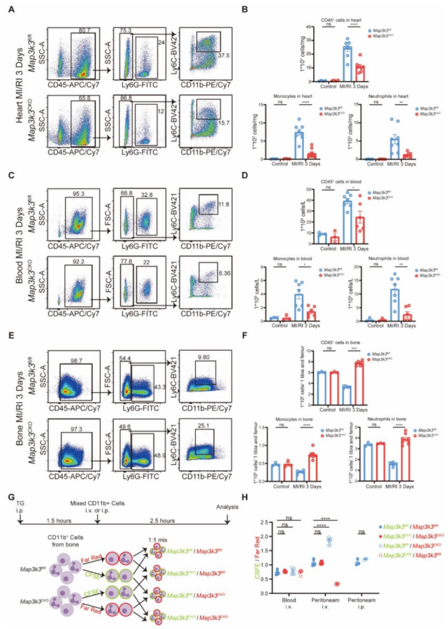 6390504230998080213318569