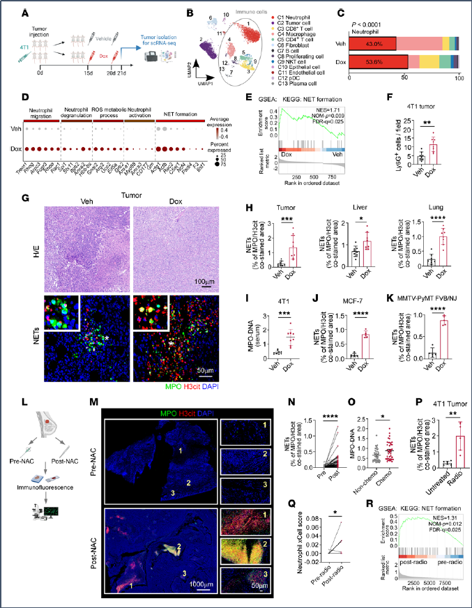 6390475755850243828574681