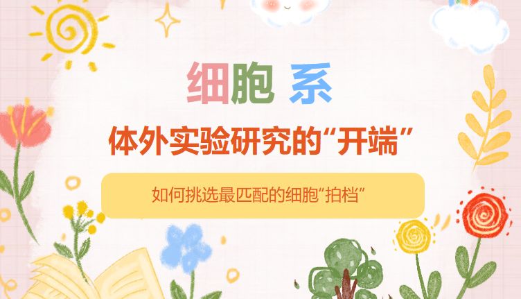 细胞系：体外实验研究的“开端”