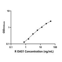 大鼠2',5'-寡腺苷酸合成酶1(OAS1)ELISA试剂盒