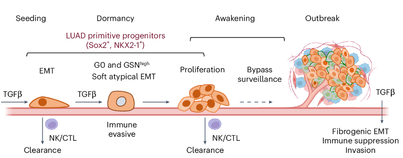 6390475858115146226414856