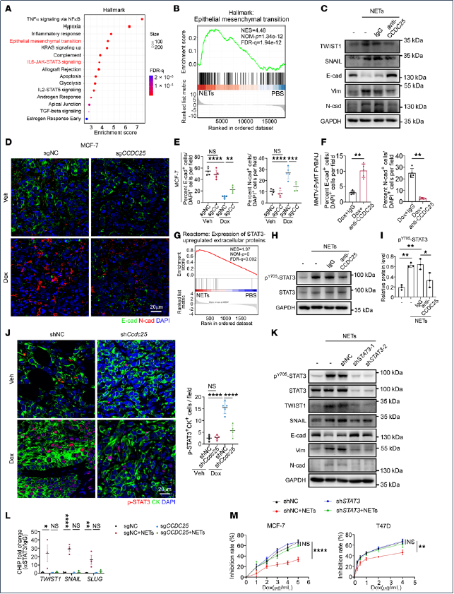 6390475801543030072997315