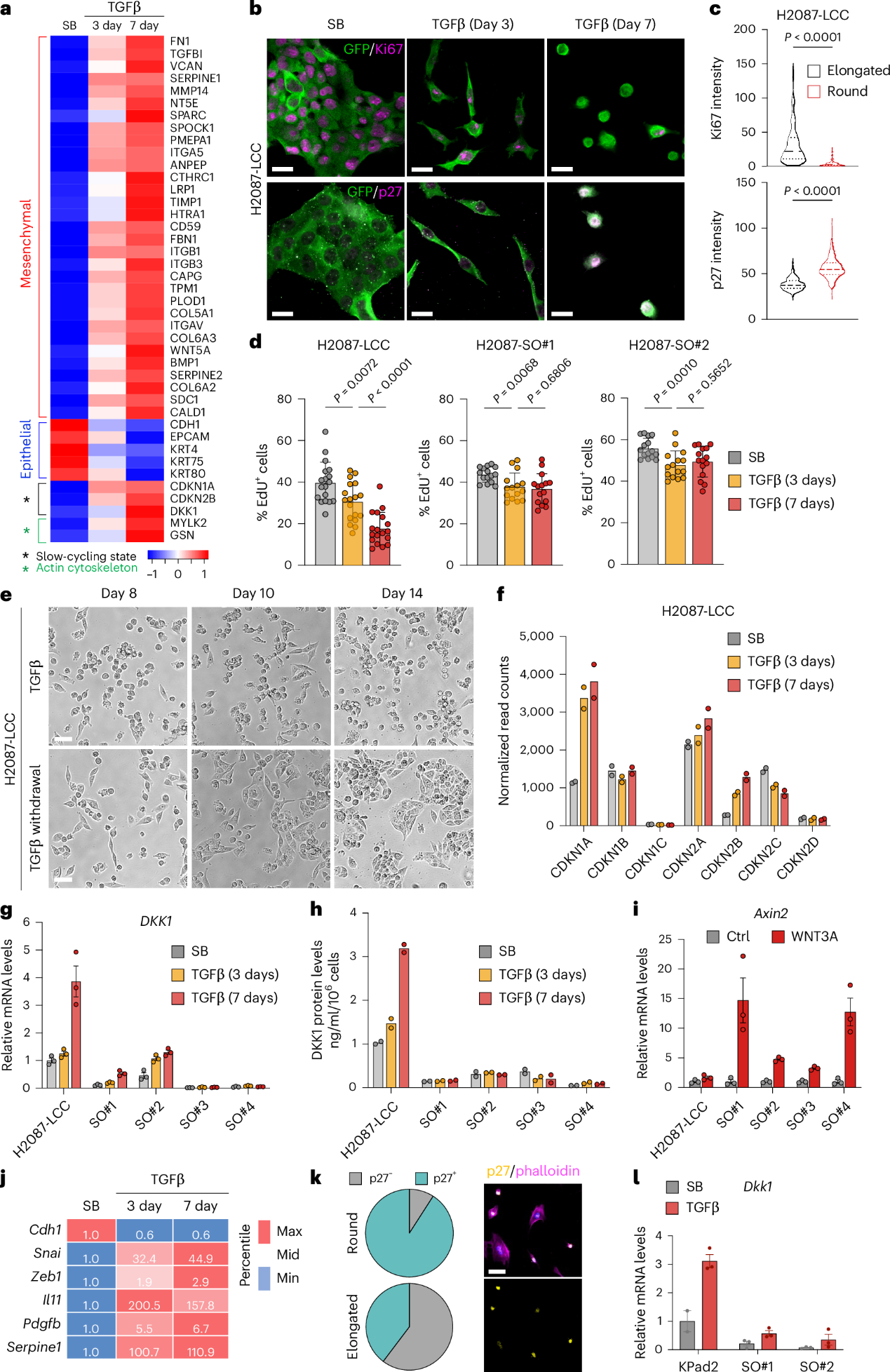 6390475862308549915937448