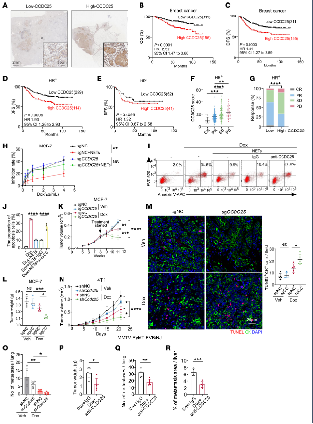 6390475817010143966292347