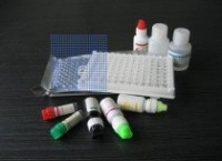 人抗红细胞抗体(RBC)检测试剂盒	