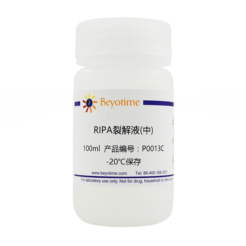 RIPA裂解液(中)
