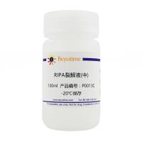 RIPA裂解液(中)