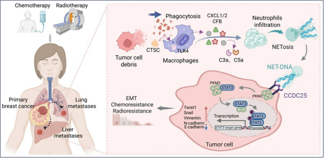 6390475797358363515856451
