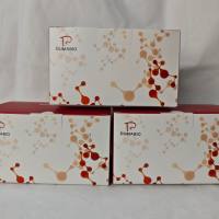 腺苷二磷酸葡萄糖焦磷酸化酶（ADP-glucose pyrophosphorylase，AGP）活性测定试剂盒