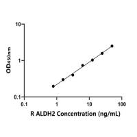 大鼠线粒体乙醛脱氢酶(ALDH2)ELISA试剂盒