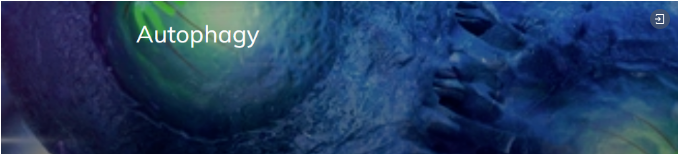 Autophagy