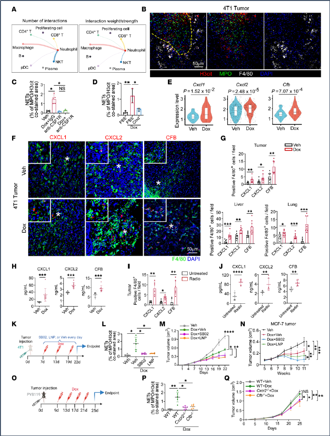 6390475766715587515921030