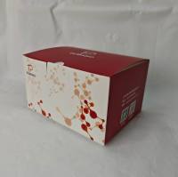 水样中汞离子（Hg2+）浓度检测试剂盒