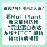 难表达纯化蛋白怎么做？看Mol. Plant新文如何巧用“昆虫蛋白表达系统+ITC”解析植物抗病机理