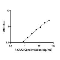 大鼠羧肽酶A2(CPA2)ELISA试剂盒