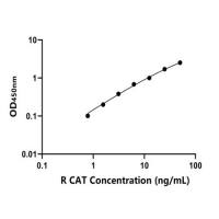 大鼠过氧化氢酶(CAT)ELISA试剂盒