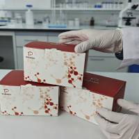 水溶性氯化物含量试剂盒