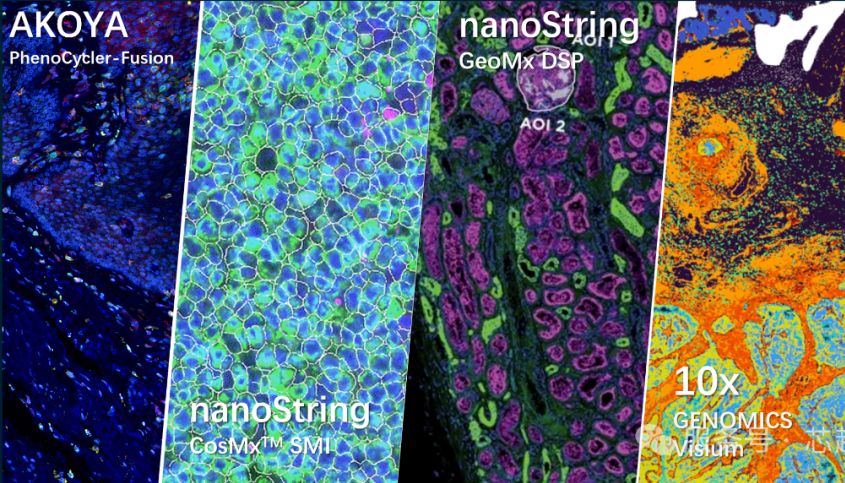 mIHC vs PCF——空间蛋白组学选哪个好？