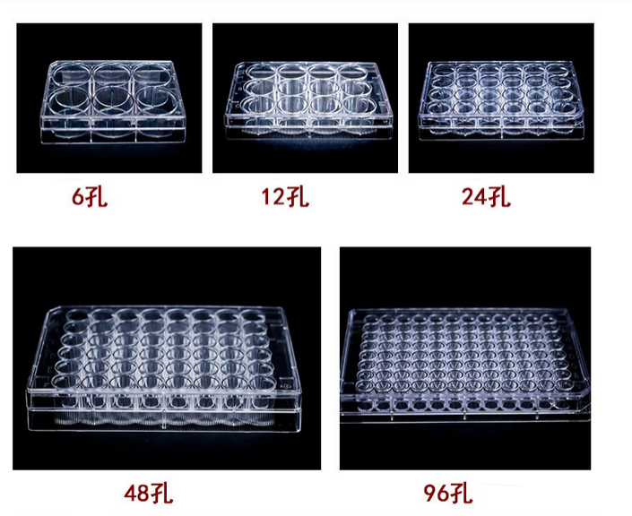 本生培养皿的具体分类及使用注意事项
