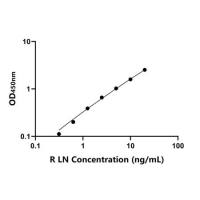 大鼠层粘连蛋白(LN)ELISA试剂盒