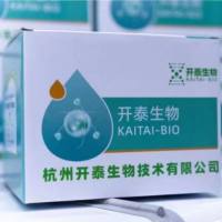 DH5α感受态细胞（AO4101）