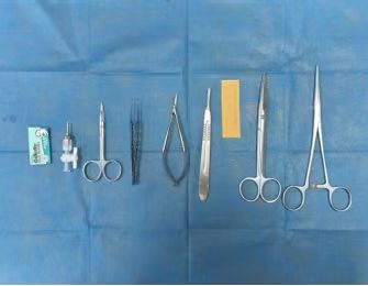 “活”心肌组织切片光标测实验Protocol