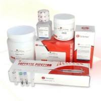 人淋巴细胞亚群分型试剂盒Human Lymphocyte Subgroup Typing Kit