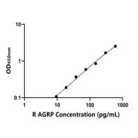 大鼠野鼠色基因相关蛋白(AGRP)ELISA试剂盒