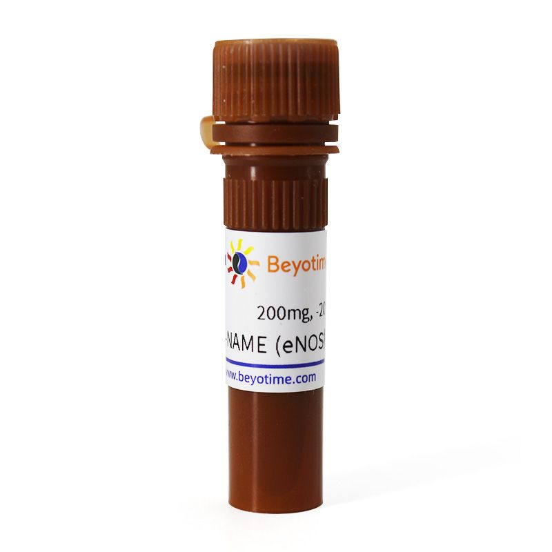 L-NAME (eNOS抑制剂)