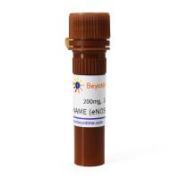 L-NAME (eNOS抑制剂)