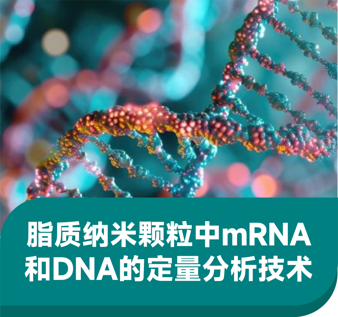 脂质纳米颗粒中mRNA和DNA的定量分析技术