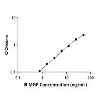 大鼠基质Gla蛋白(MGP)ELISA试剂盒