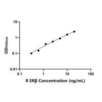 大鼠雌激素受体β(ERβ)ELISA试剂盒