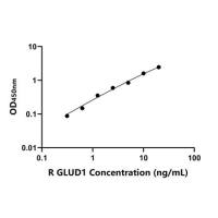 大鼠谷氨酸脱氢酶(GLUD1)ELISA试剂盒
