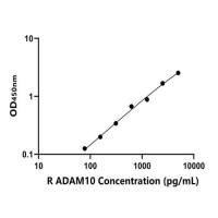 大鼠解整合素金属蛋白酶10(ADAM10)ELISA试剂盒