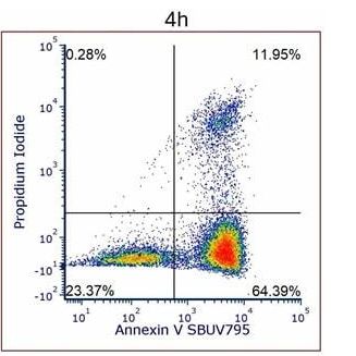 ANNEXIN V:StarBright UltraViolet 795 KIT