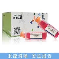 HO-1-N-1细胞(人喉鳞癌细胞)