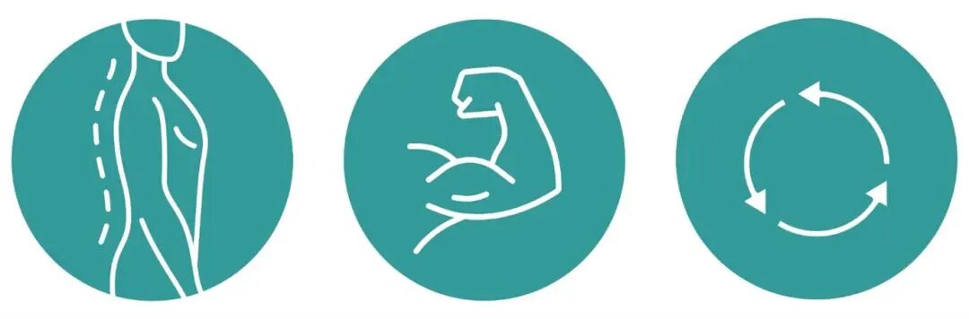 人体工学移液器和移液操作指南