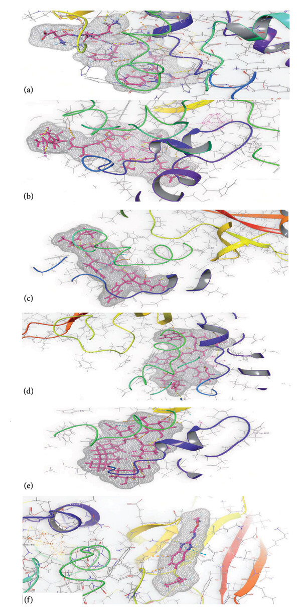 WMicrotracker小动物活动力分析系统文章分享，赣南医科大学连同多国专家发表 在Scientifica “Anthelminthic Activity of Piper nigrum, Albizia ferruginea, and Guarea cedrata Against Caenorhabditis elegans and Heligmosomoides polygyrus: In