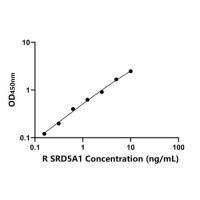 大鼠类固醇5α还原酶1(SRD5A1)ELISA试剂盒