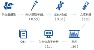产品细节图片1