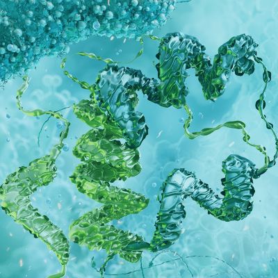 重组蛋白表达纯化服务