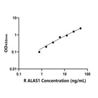 大鼠氨乙酰δ合酶1(ALAS1)ELISA试剂盒