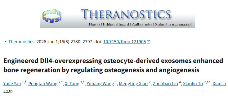 外泌体给骨再生“开挂”！重庆医科大新研究：Dll4-Exo激活Notch成骨+独立血管生成机制，双效促骨愈合！