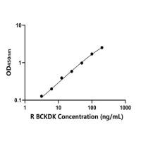 大鼠支链α-酮酸脱氢酶(BCKDK)ELISA试剂盒