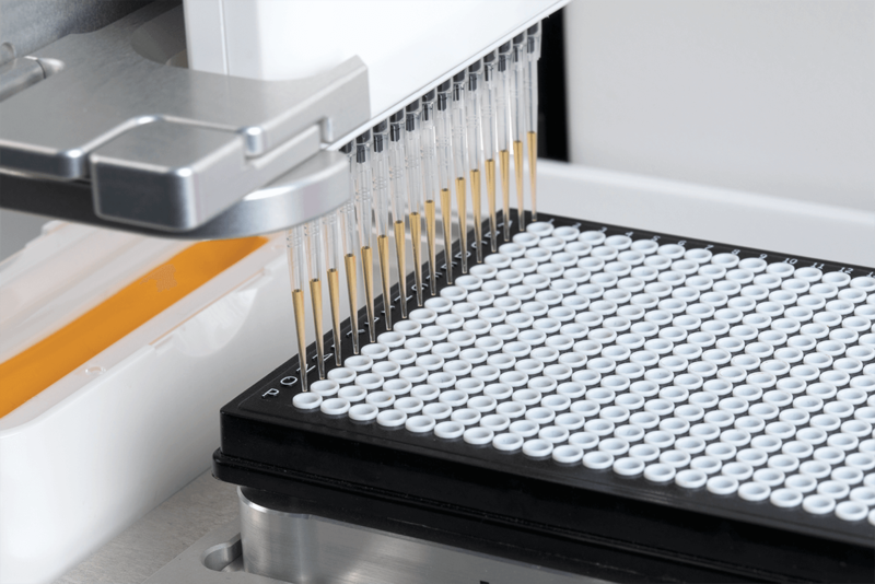 ASSIST PLUS automatic pipette dispensing liquid into a 384 well plate, using a 16 channel pipette.