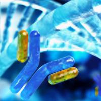 杂交瘤细胞抗体基因测序服务