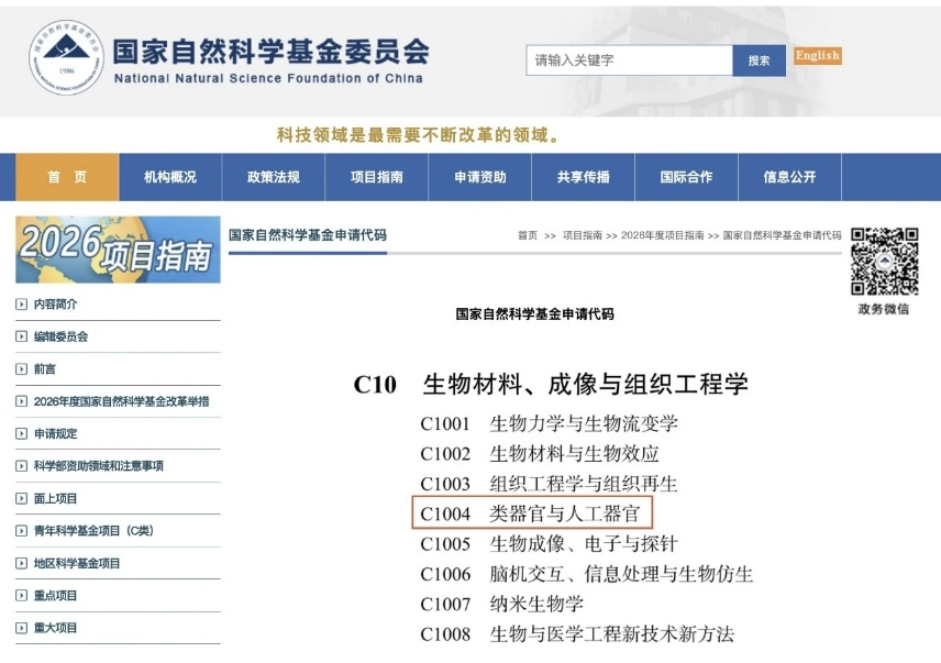 国自然单独立项类器官研究！让 Cytation 赋能实验室高效启航