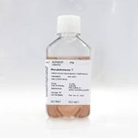 羊抗人C3多克隆抗体,EKN0015A